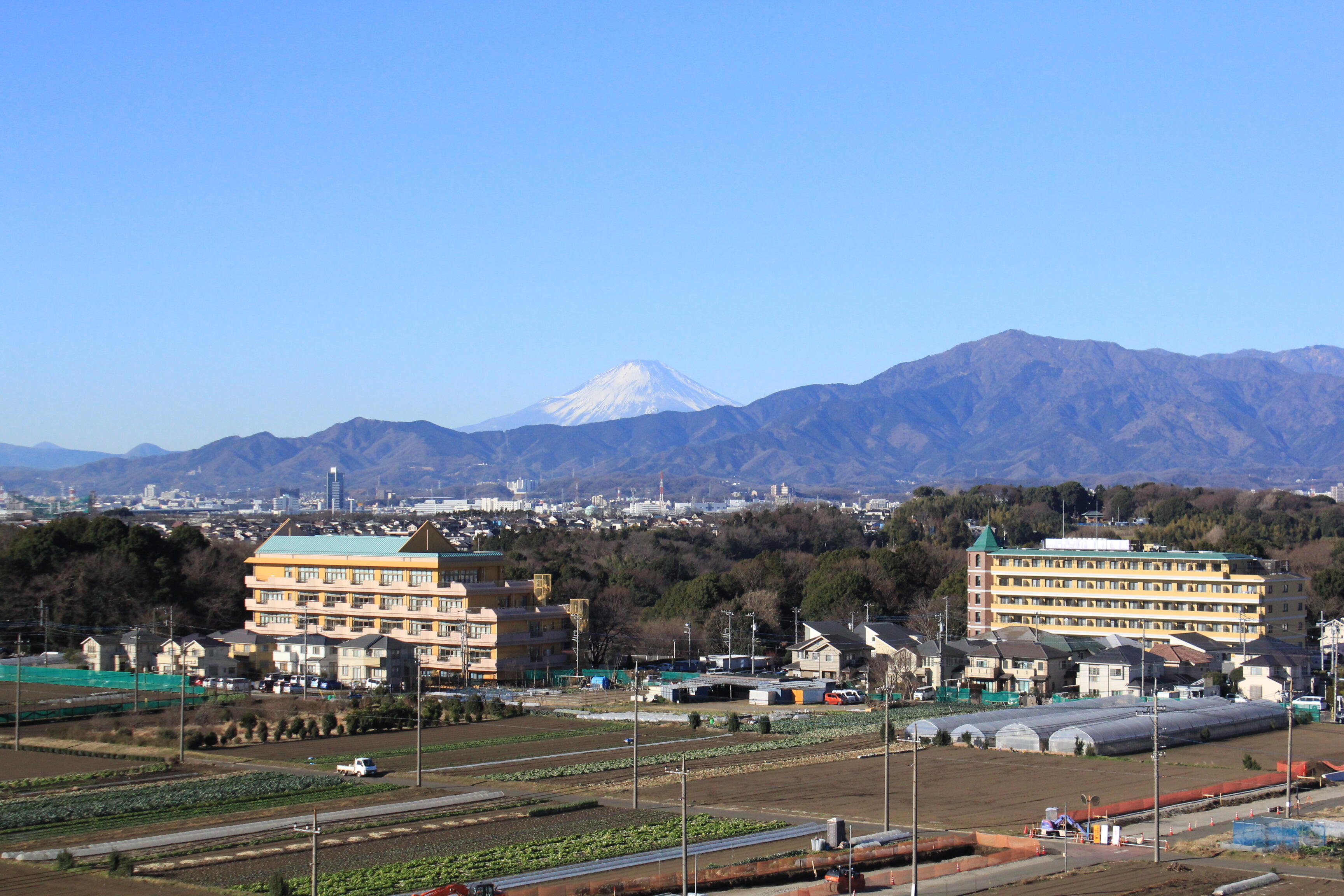富士山・畑景色.JPG