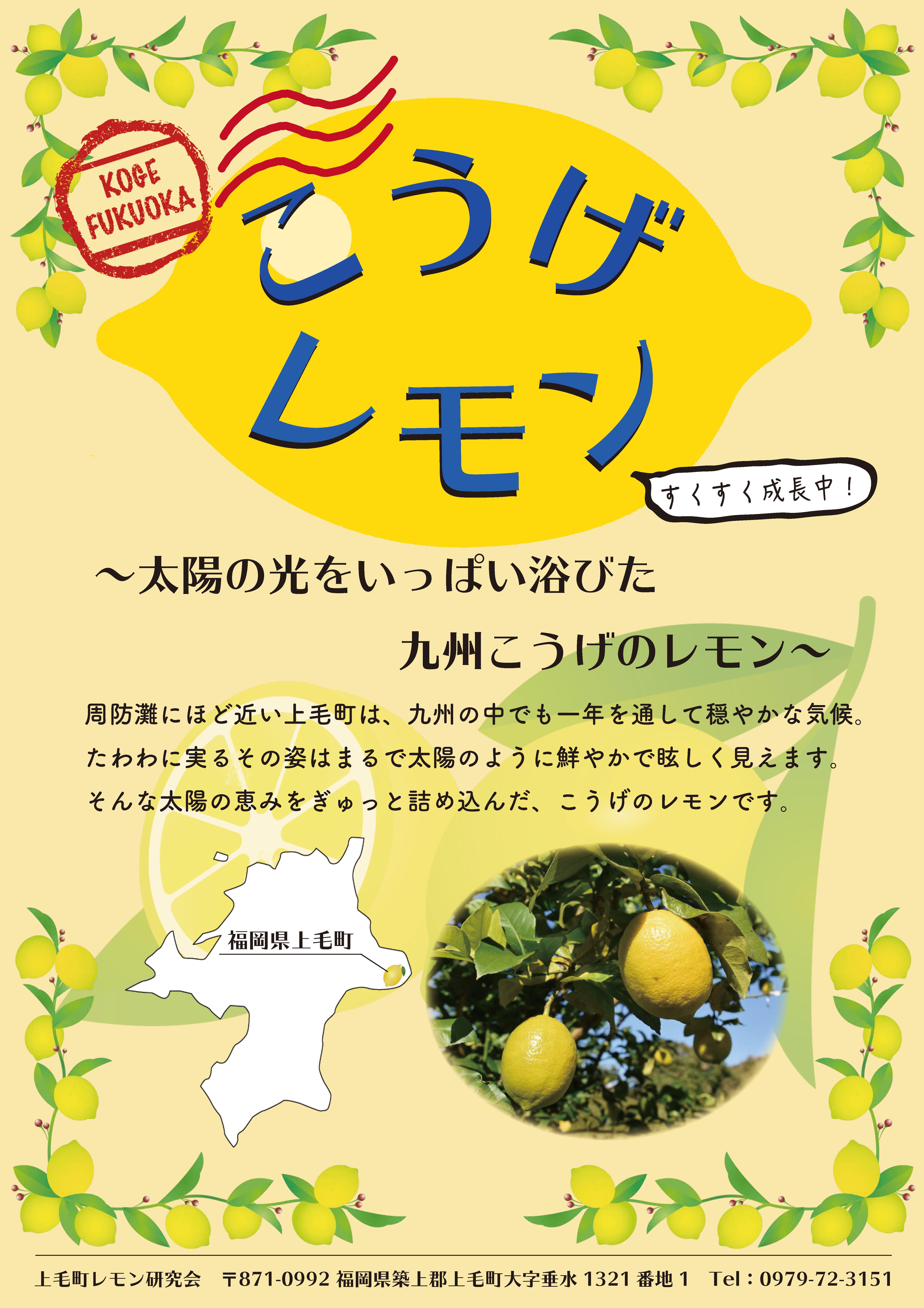 こうげレモンチラシ.jpg