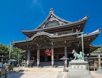 豊川稲荷.jpg