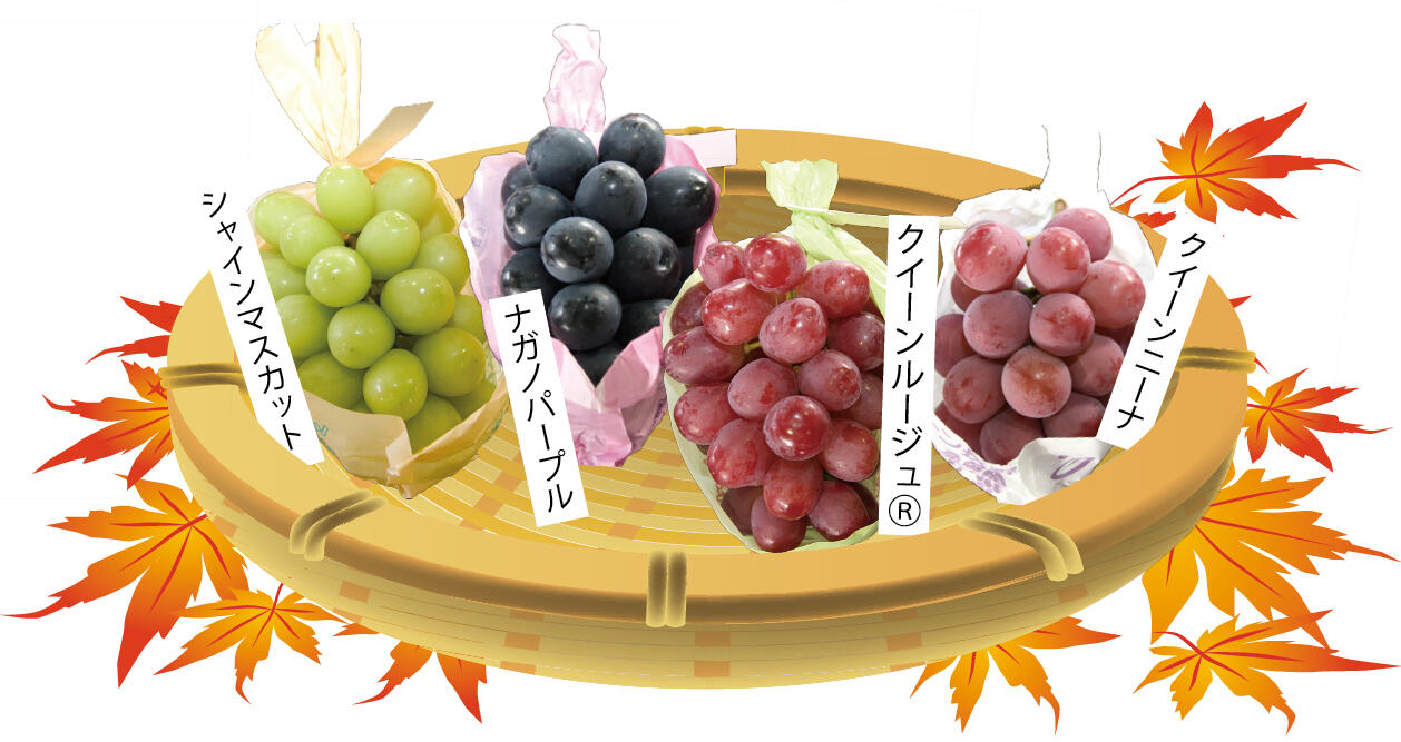ぶどう.jpg
