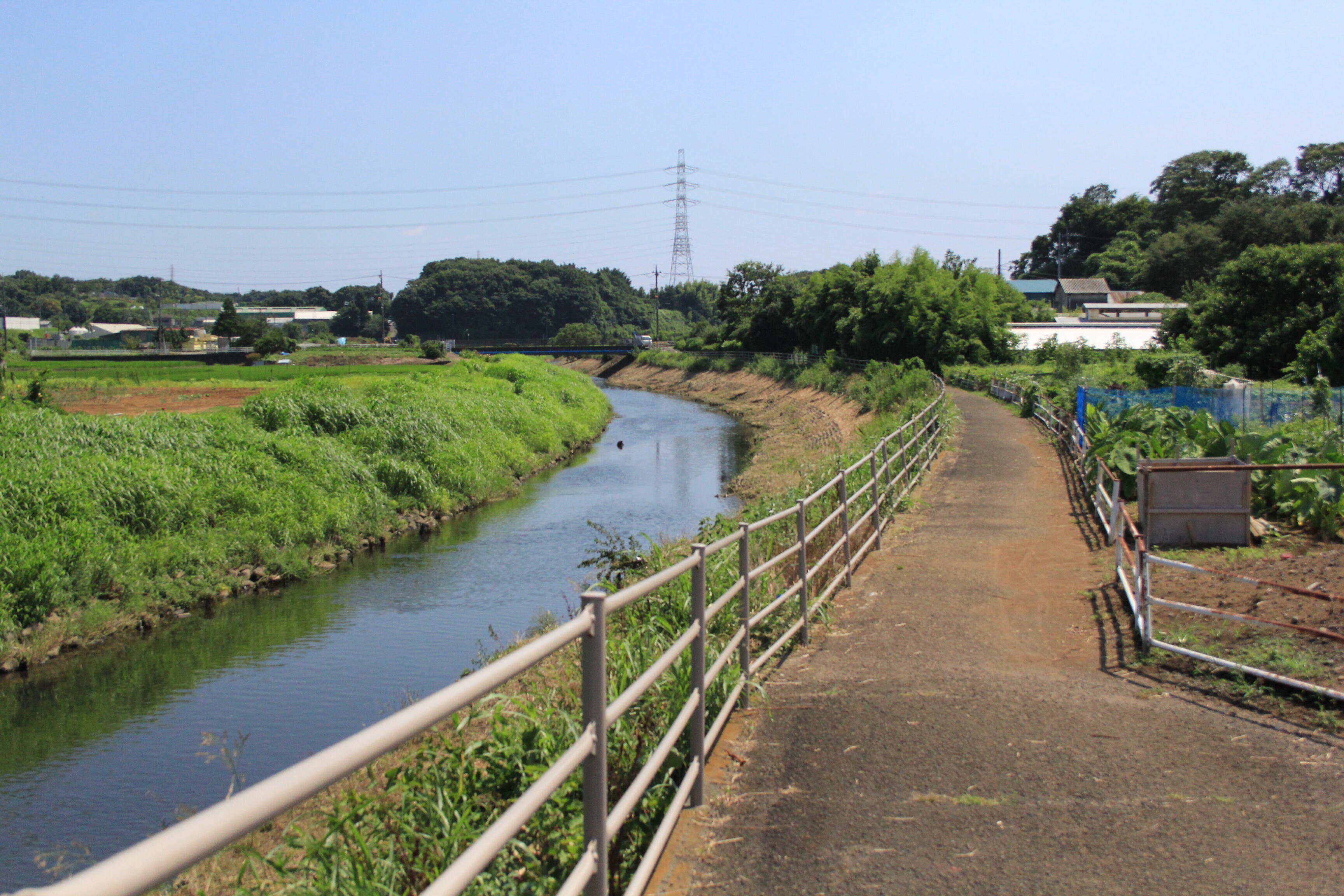 目久尻川（サイクリングロード有）.JPG