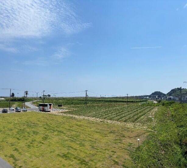 画像5.jpg