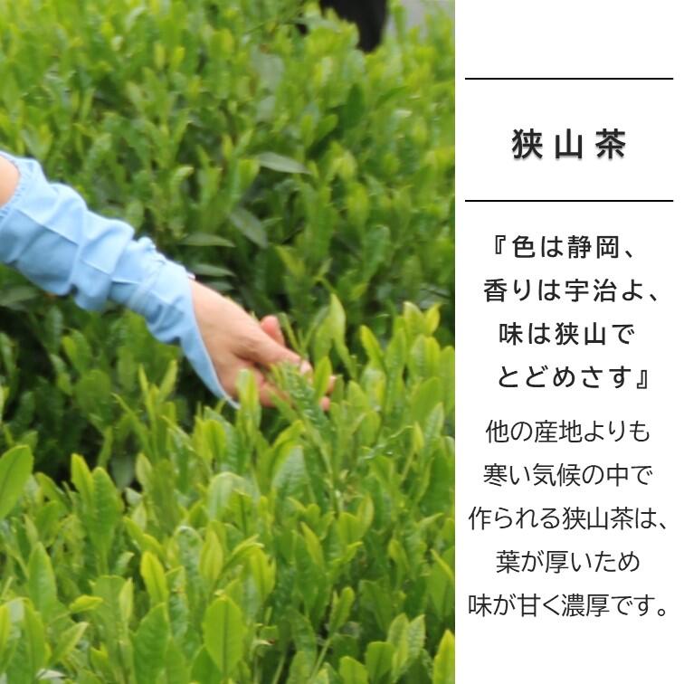 所沢市_PR写真2.JPG