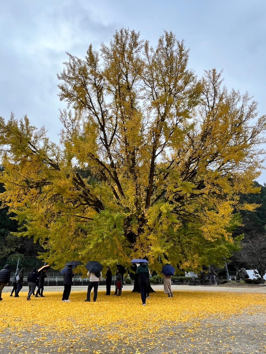 LINE_ALBUM_日南町実践塾_241125_53.jpg