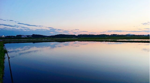 FireShot Capture 003 - 茨城県茨城町さんはInstagramを利用しています_「空を広く感じました⛅️ . #いば3ぽ #茨城町 #茨城県 #茨城 #春 #水田 _ - www.instagram.com.png