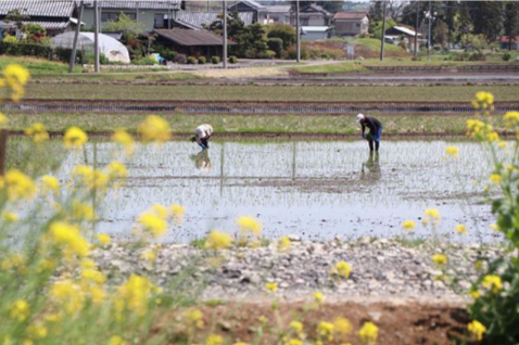 FireShot Capture 002 - 茨城県茨城町さんはInstagramを利用しています_「【田植え作業