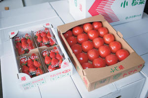 トマト・イチゴ.jpg