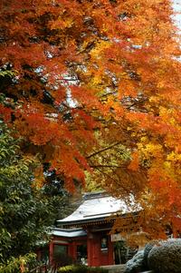 秋の鹽竈神社.jpg